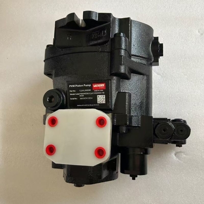 Pompa a pistoni Vickers Pvm045er07CS2c230200001ab-Bd00 Fuso ferro 30.000kg Peso lordo del pacchetto
