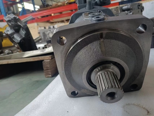Motore idraulico con personalizzazione