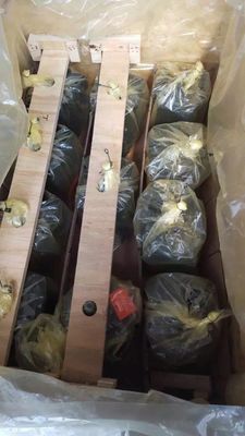 Pompa a pistoni idraulica monocilindrica A10vg28 per scavatori e macchine da costruzione