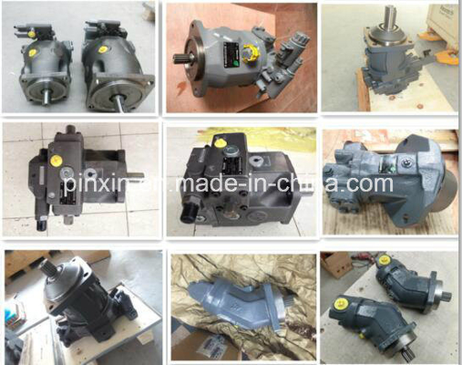 Tipo di guida idraulica Serie A2fe Vzl100 A2fe56/61W-Vzl100 Macchine per sollevamento Originale