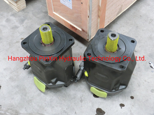 A10vso140 di Rexroth Pump con singolo cilindro personalizzato