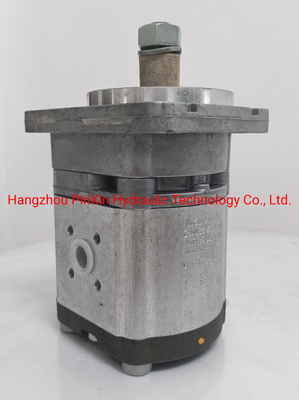 6 mesi Servizio post-vendita Azmf-10-016USA20ml pompa di ingranaggi per pompa idraulica Rexroth
