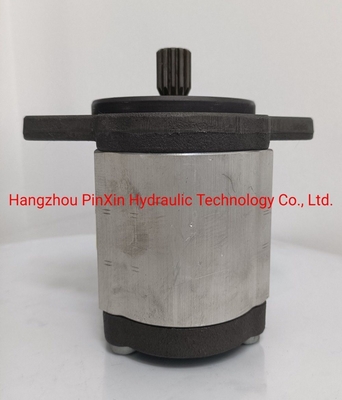 Fabbricazione di macchine Azpn-11-032rdc07kb-S0081 Pompa di ingranaggi per pompa idraulica Rexroth