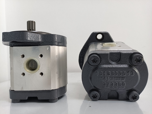 Involute Tooth Curve Azpf-11-019rrr20kb-S0081 Pompa di ingranaggi per pompa idraulica Rexroth