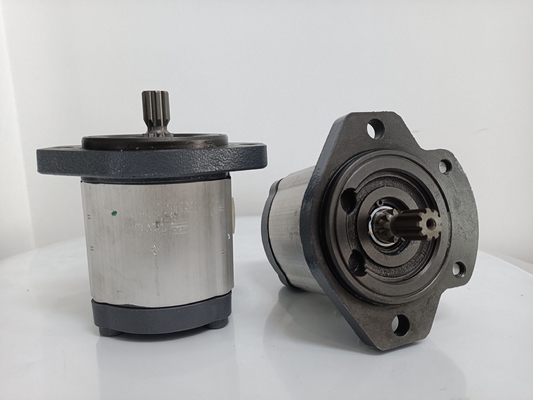 Involute Tooth Curve Azpf-11-019rrr20kb-S0081 Pompa di ingranaggi per pompa idraulica Rexroth