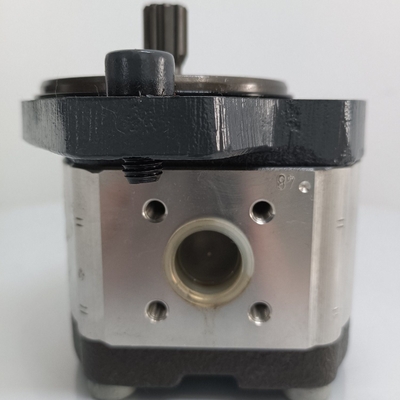 Manca la politica di rimborso Azpf-11-008rrr20kb-S0081 Pompa di ingranaggi per pompa idraulica Rexroth