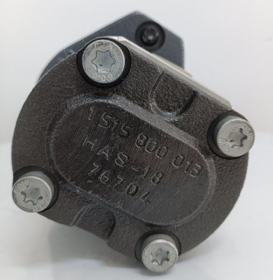 Manca la politica di rimborso Azpf-11-008rrr20kb-S0081 Pompa di ingranaggi per pompa idraulica Rexroth