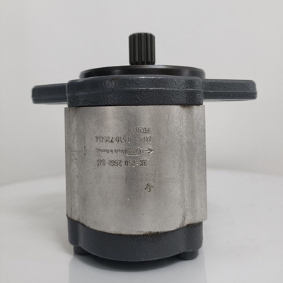Pompata idraulica Rexroth con dentatura dritta Azpn-11-022ldc07kb-S0081
