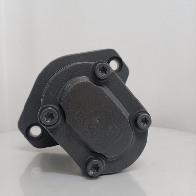 Pompata idraulica Rexroth con dentatura dritta Azpn-11-022ldc07kb-S0081