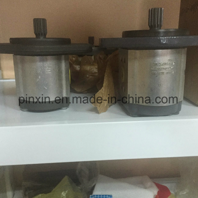 Pompa per ingranaggi idraulici a olio con materiale in ghisa e prestazioni durevoli