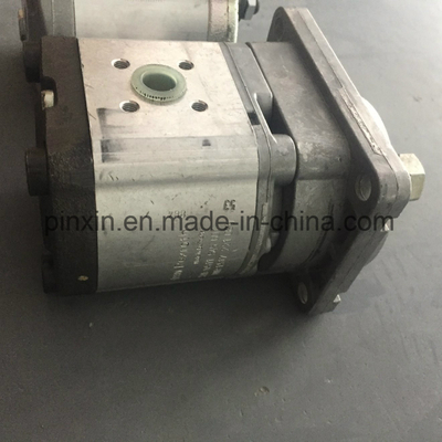 Pompa per ingranaggi idraulici a olio con materiale in ghisa e prestazioni durevoli