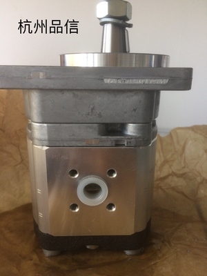0511645601 Pompa idraulica per ingranaggi 35 kg