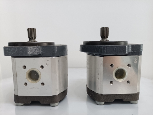 0510765055 Pompa idraulica a ingranaggi con fianco a denti obliquati Azpff-11-022/008rrr2020kb-S0081