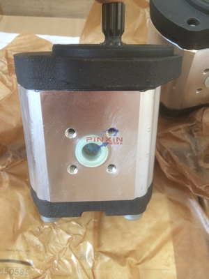 Ricambi idraulici per pompe a ingranaggi Azpf-11-022rrr20kb-S0081 originario della Germania