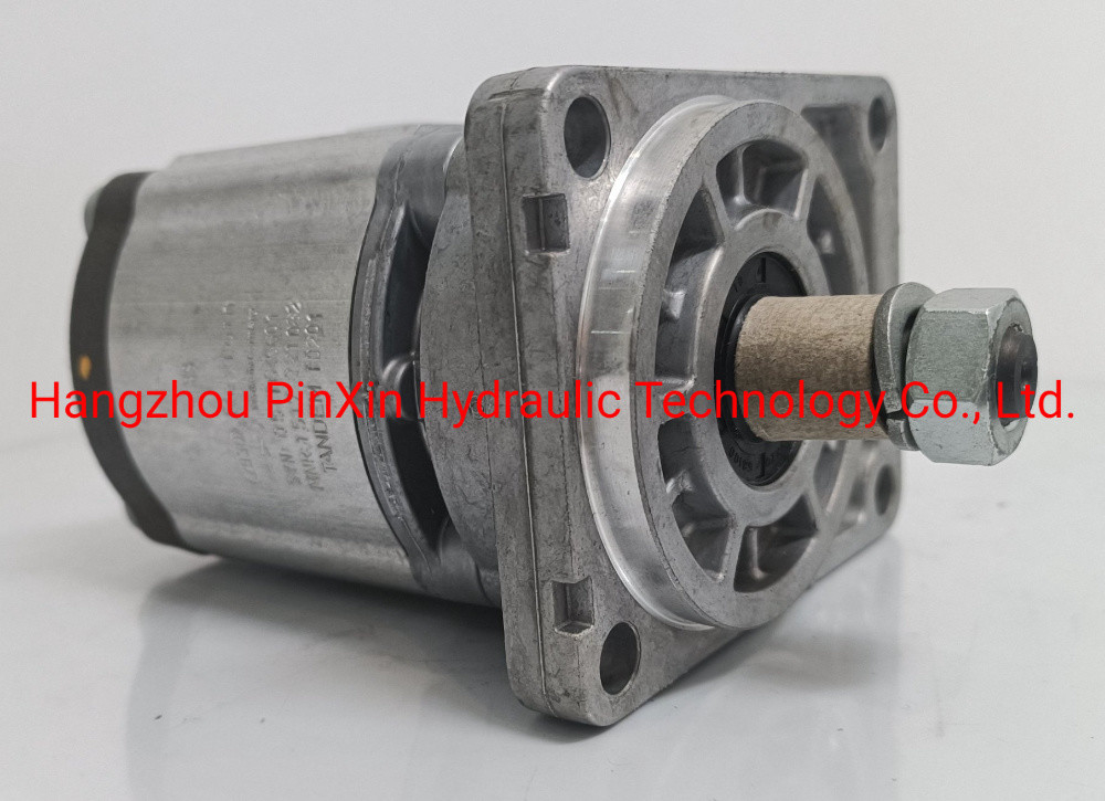 6 mesi Servizio post-vendita Azmf-10-016USA20ml pompa di ingranaggi per pompa idraulica Rexroth