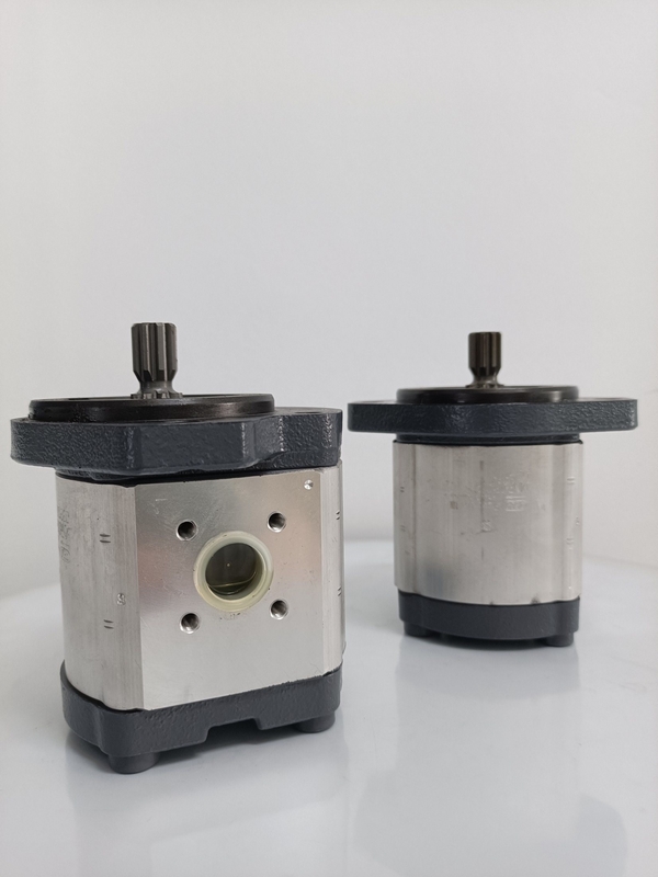 Involute Tooth Curve Azpf-11-019rrr20kb-S0081 Pompa di ingranaggi per pompa idraulica Rexroth
